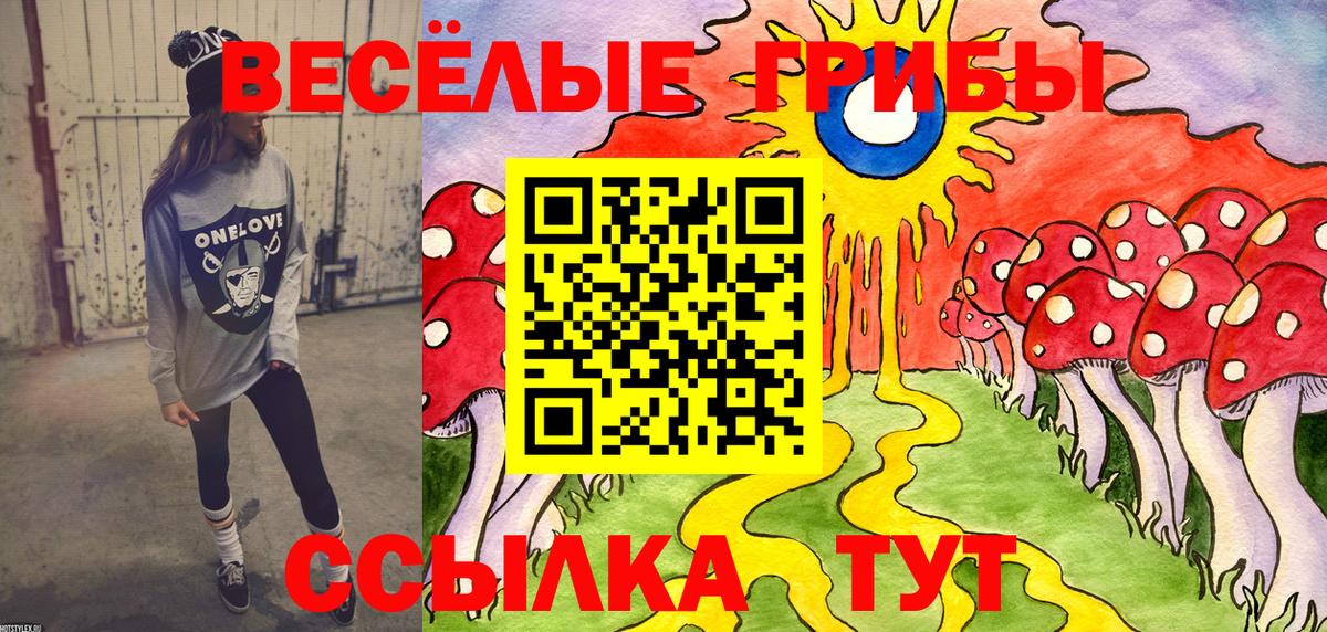 Галлюциногенные грибы мицелий Сосновый Бор